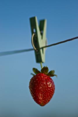 Прикрепленное изображение: fruit.jpg