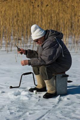 Прикрепленное изображение