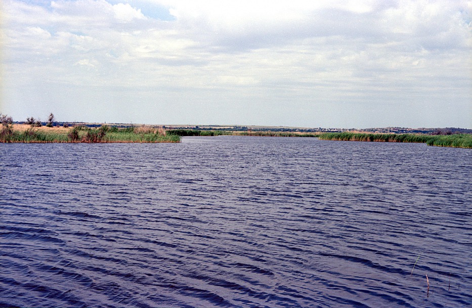 Прикрепленное изображение