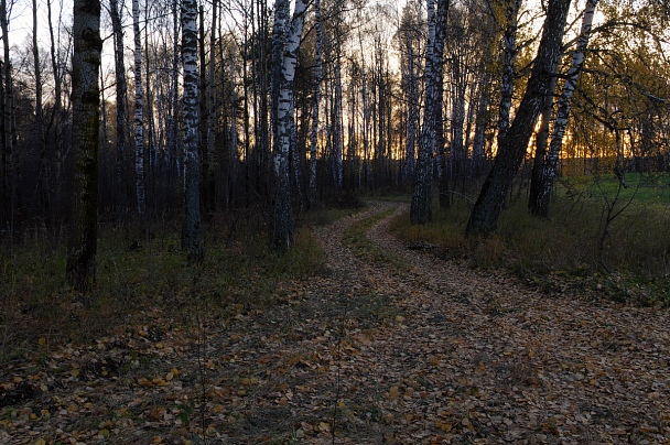 Прикрепленное изображение: IMGP0019_wf_i.jpg