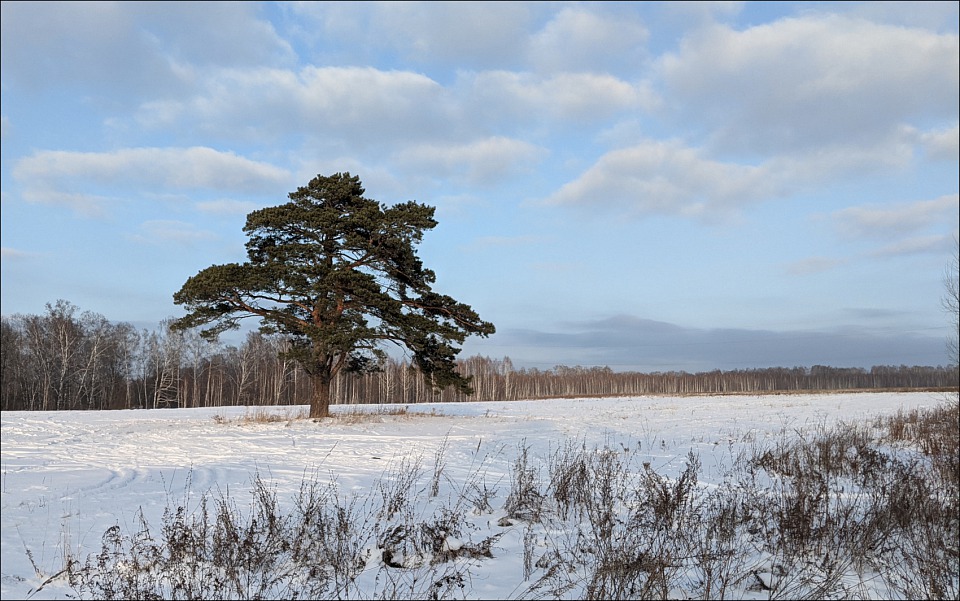 Прикрепленное изображение: 080439818_01w_r_i.jpg