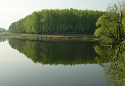 Прикрепленное изображение