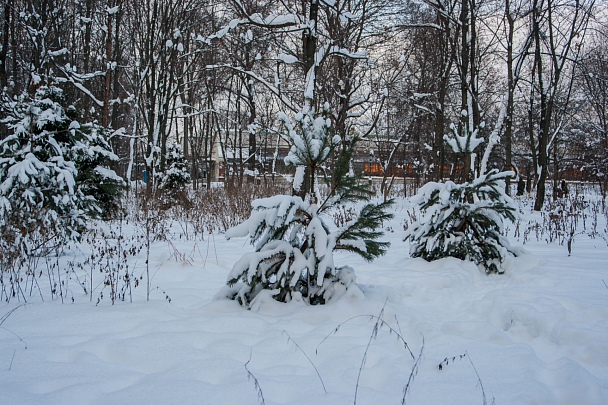 Прикрепленное изображение