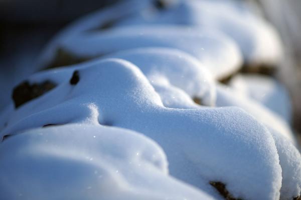 Прикрепленное изображение: Снег на камнях.jpg