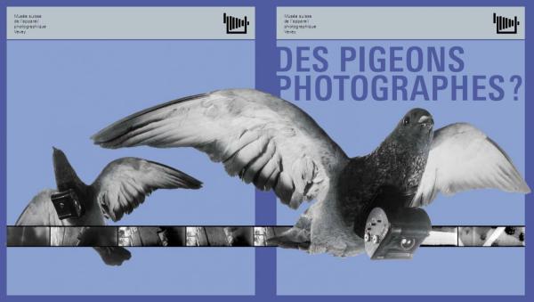 Прикрепленное изображение: pigeon-camera2.jpg