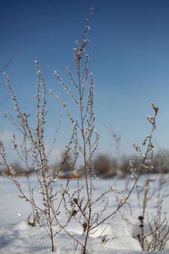 Прикрепленное изображение: _MG_8462.JPG