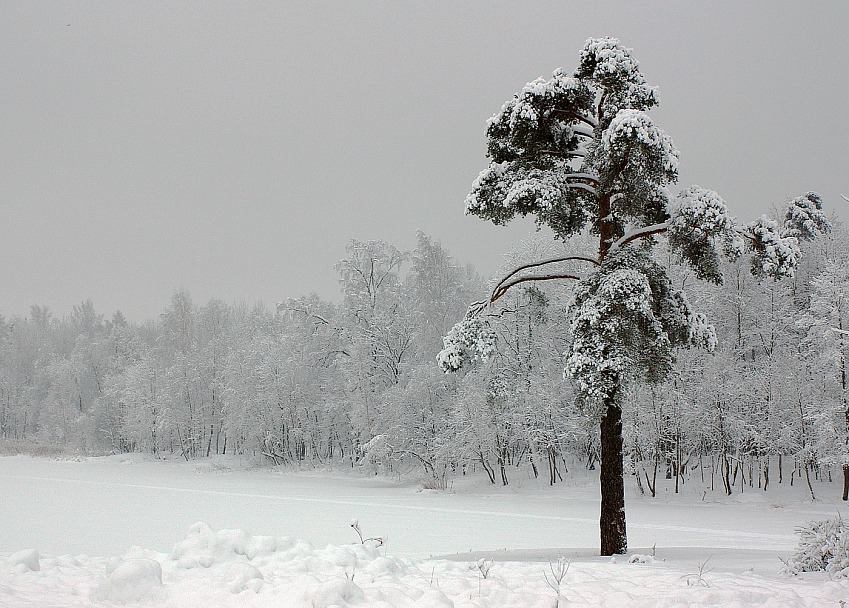 Прикрепленное изображение: IMGP0044.jpg