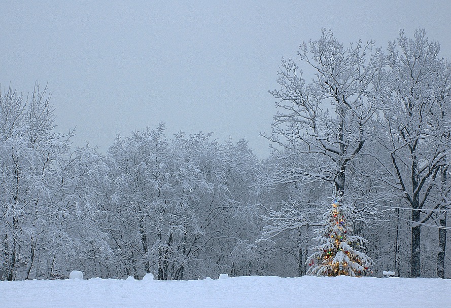 Прикрепленное изображение