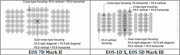 Прикрепленное изображение: Canon-EOS-7D-II-1D-X-5D-III-AF-Point-Comparison.png