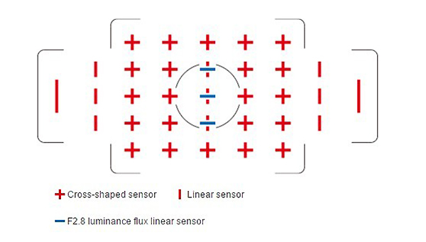 Прикрепленное изображение: safox-12-sensor-array.jpg