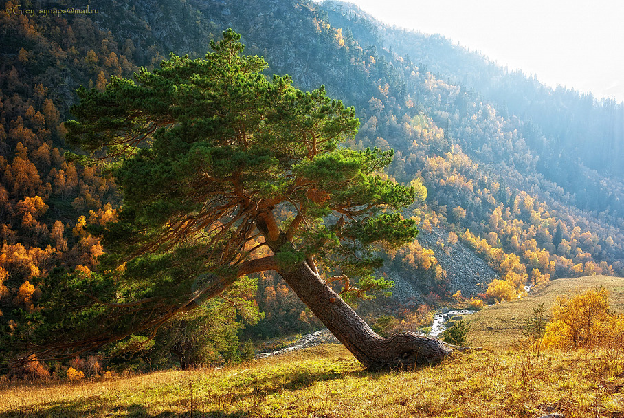 Прикрепленное изображение: webP2464raCL.jpg