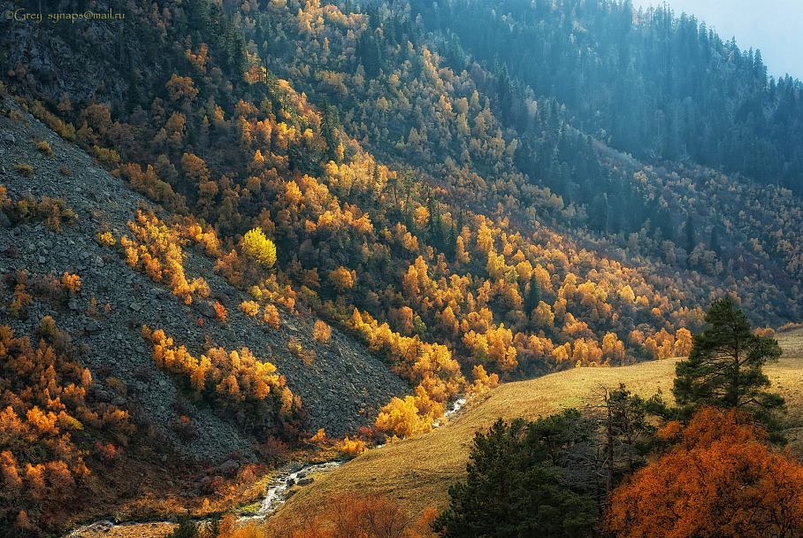 Прикрепленное изображение: webP2443raCL.jpg