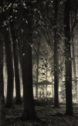 Прикрепленное изображение: Ночь, парк, туман, беседка_2.jpg
