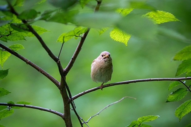 Прикрепленное изображение: IMGP6055.jpg