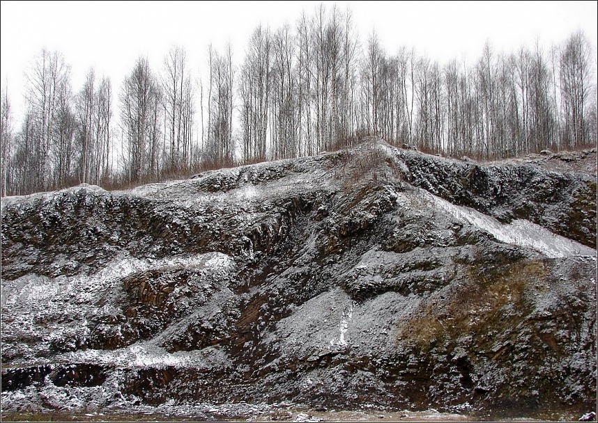 Прикрепленное изображение: Первый снег.jpg