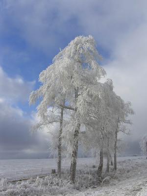 Прикрепленное изображение: ___________________H105475.JPG