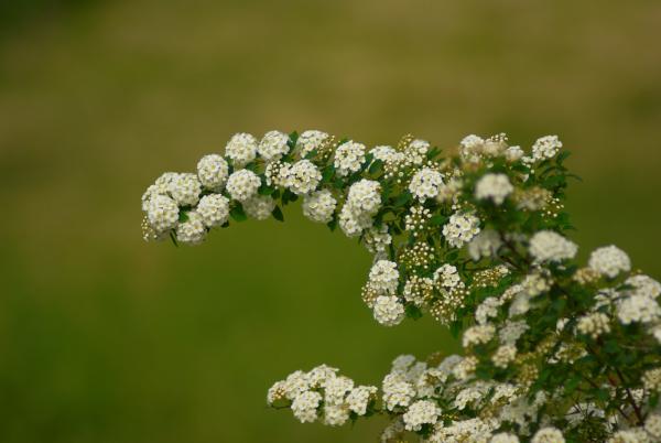 Прикрепленное изображение: IMGP7828R.jpg