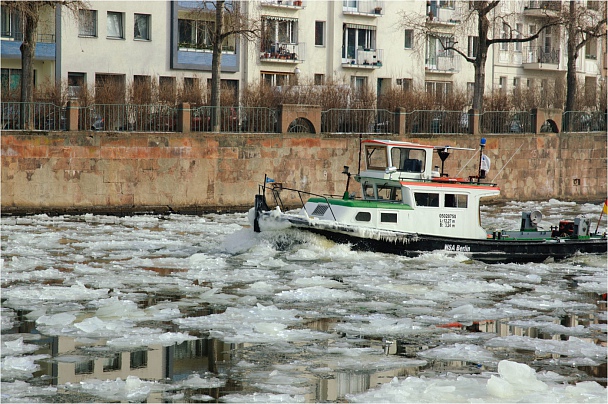 Прикрепленное изображение: DSC_5984pk.jpg