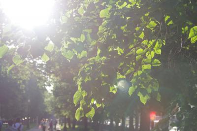 Прикрепленное изображение: IMGP5800_1.jpg