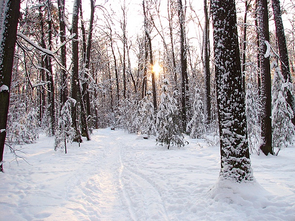 Прикрепленное изображение: IMG_3021.jpg