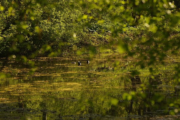 Прикрепленное изображение: IMGP6596.JPG