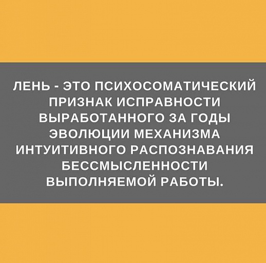 Прикрепленное изображение: 53781873_2201755686574379_3167766757096030208_n.jpg