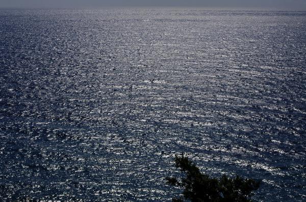 Прикрепленное изображение: Море в полдень.jpg