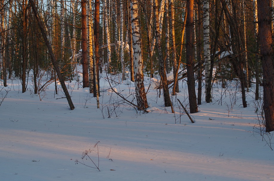 Прикрепленное изображение: IMGP3497.JPG