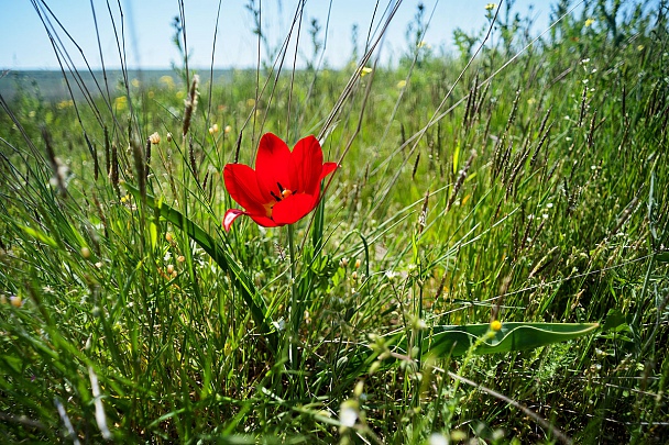 Прикрепленное изображение