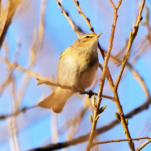 Прикрепленное изображение: DSC_2206_DxO.jpg