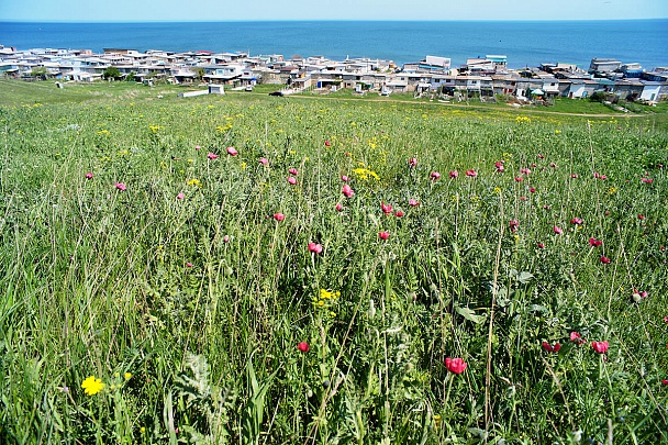 Прикрепленное изображение