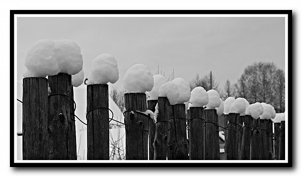 Прикрепленное изображение: _IGP0916-2.jpg