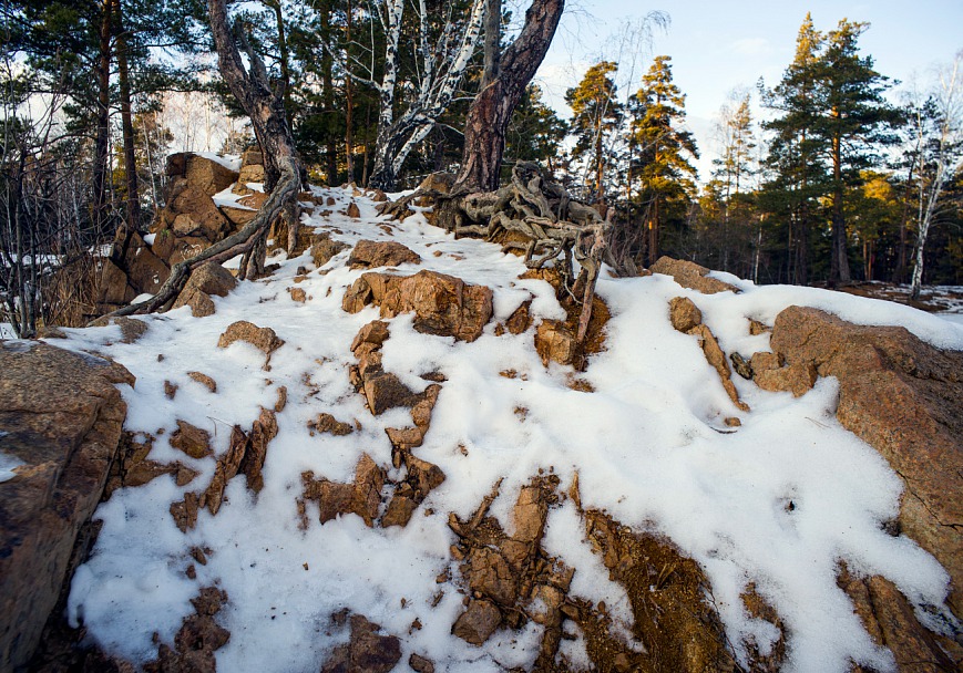 Прикрепленное изображение: _IMG6949.jpg