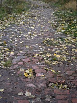 Прикрепленное изображение: _2589_doroga.jpg