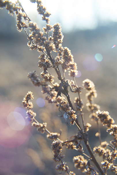 Прикрепленное изображение: 2015-04-11_18-55-1000_fk_resize.jpg