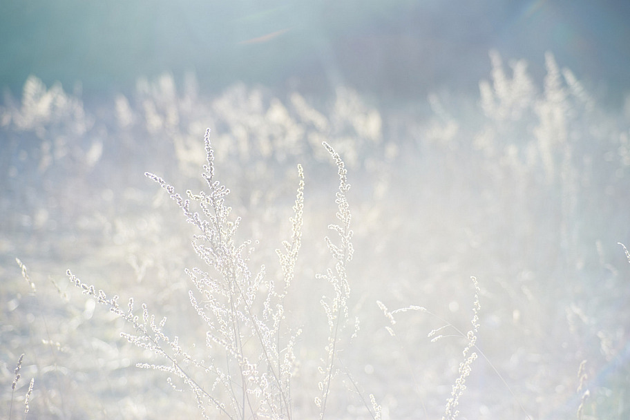 Прикрепленное изображение: 2015-04-11_18-56-5000_fk_resize.jpg