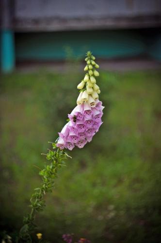 Прикрепленное изображение: PICT3501_for web.jpg