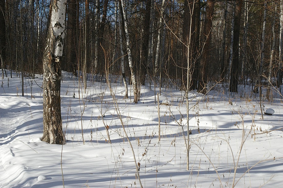 Прикрепленное изображение: IMGP8936.jpg