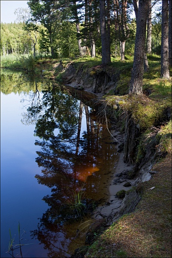 Прикрепленное изображение: IMGP2745-600к.jpg