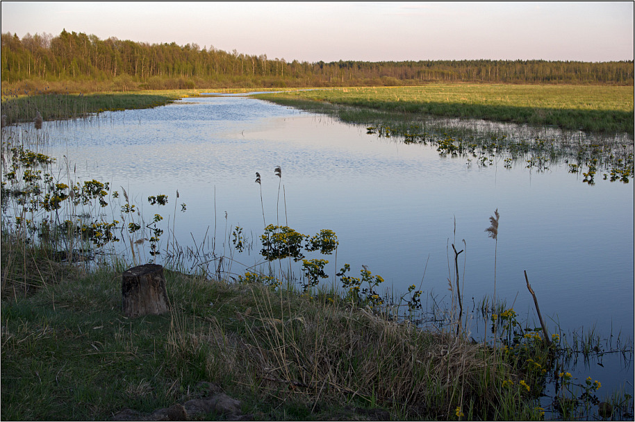 Прикрепленное изображение: IMGP1890-805.jpg