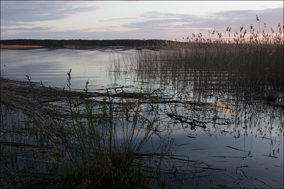 Прикрепленное изображение: IMGP1878-802.jpg