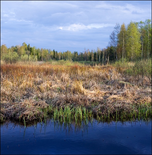 Прикрепленное изображение: IMGP5307-язев-омут-600.jpg