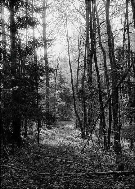Прикрепленное изображение: scan-A35k6.jpg