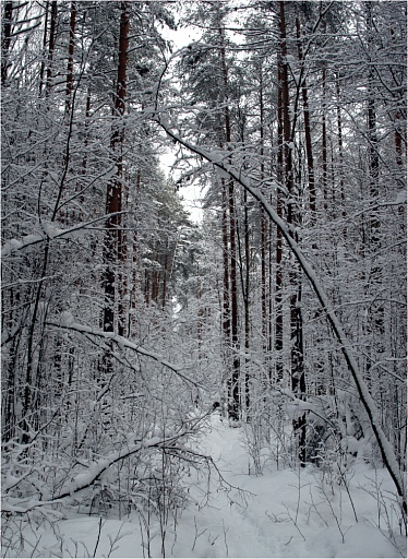 Прикрепленное изображение: IMGP6965-600к.jpg