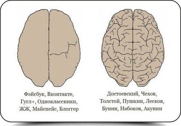 Прикрепленное изображение: Brain.jpg