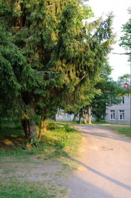 Прикрепленное изображение: DSC_6639.jpg