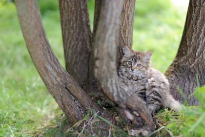 Прикрепленное изображение: DSC_6753.jpg