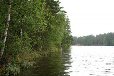 Прикрепленное изображение: DSC_6863.jpg