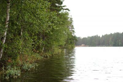 Прикрепленное изображение: DSC_6864.jpg