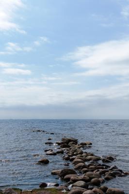 Прикрепленное изображение: DSC_6994.jpg